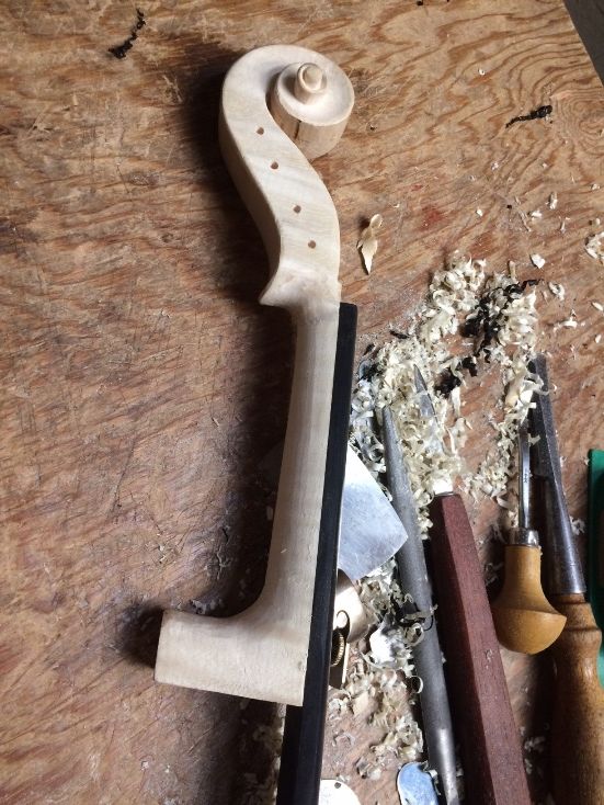 Scroll, pegbox and Neckset Bluefiddle's West Wind Strings